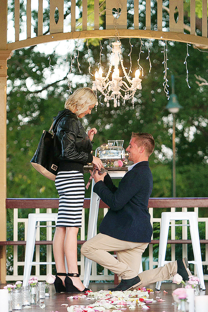 New Farm Park Proposal