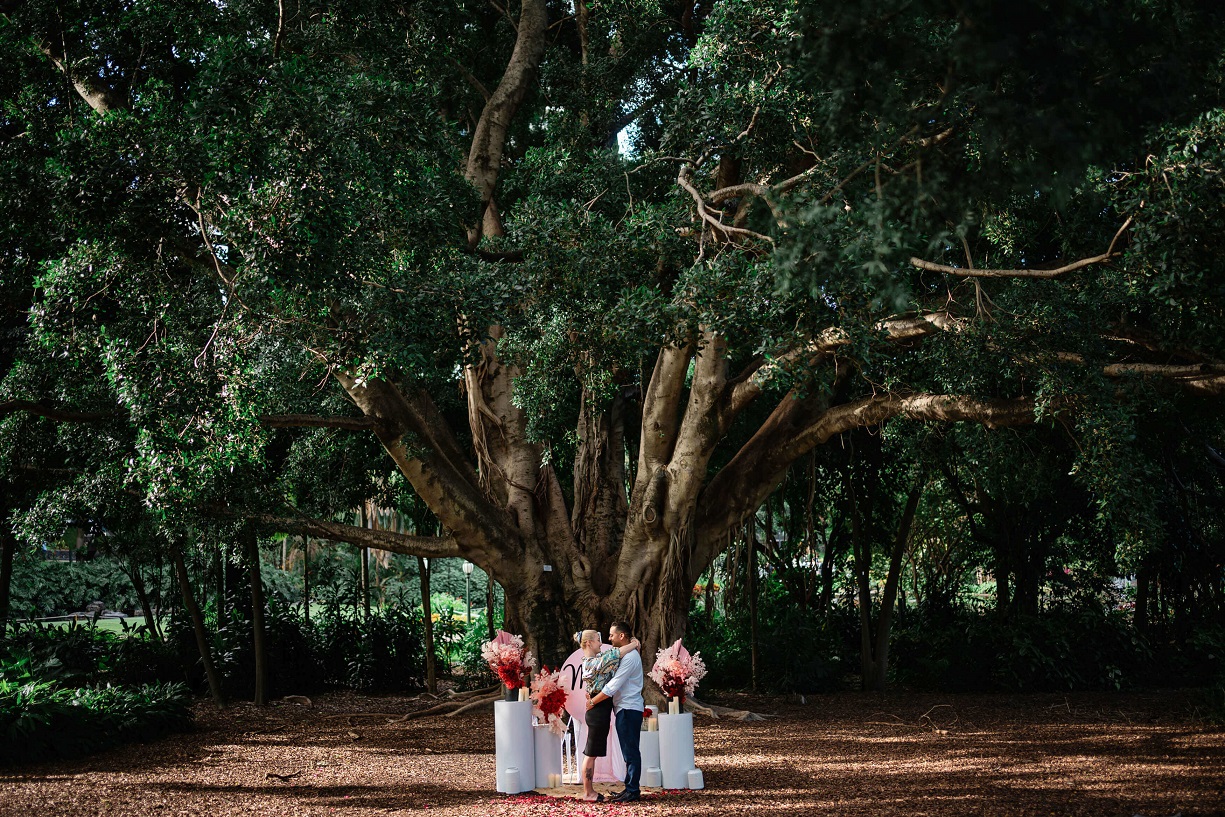 Proposal decor Brisbane