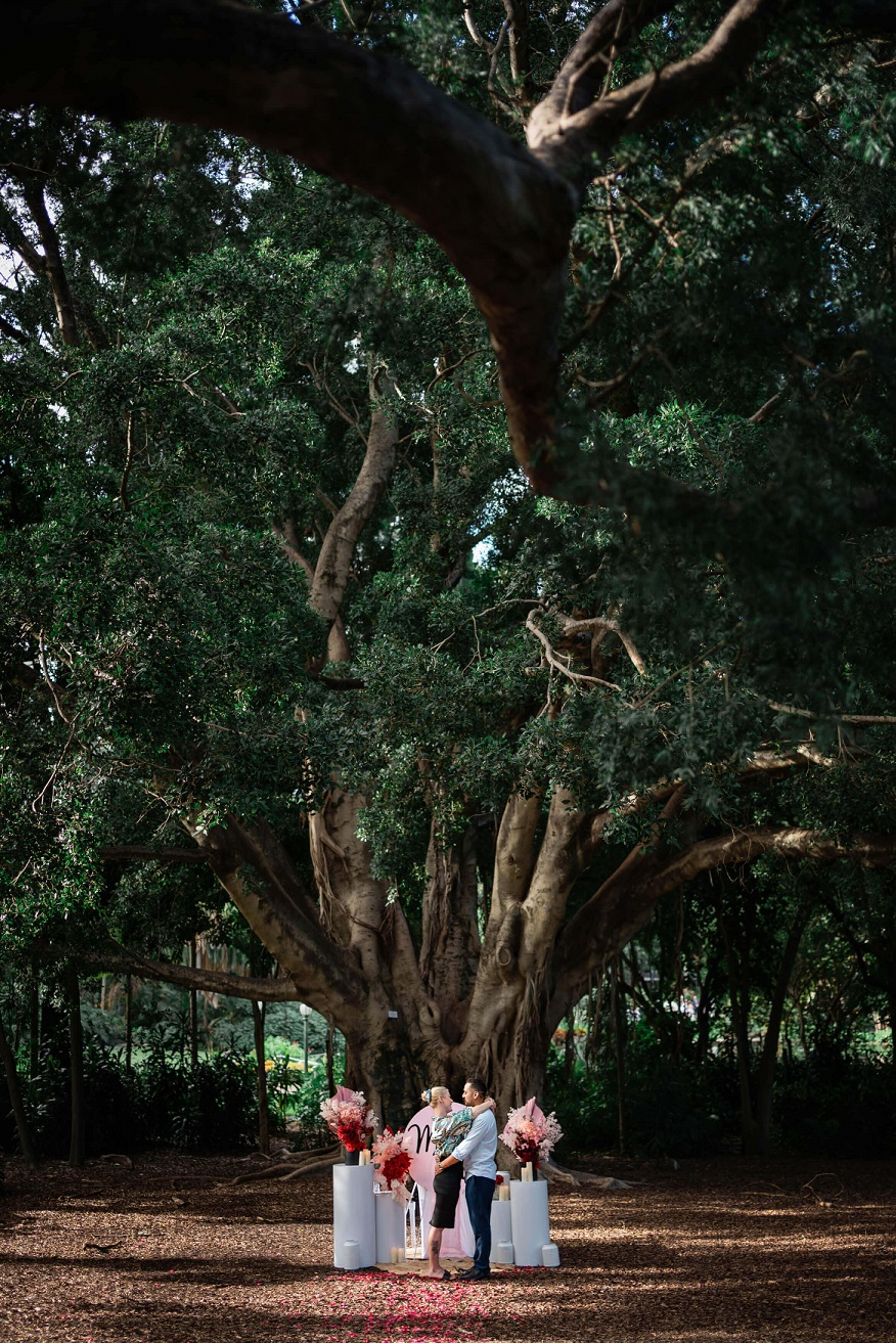 where to propose Brisbane City