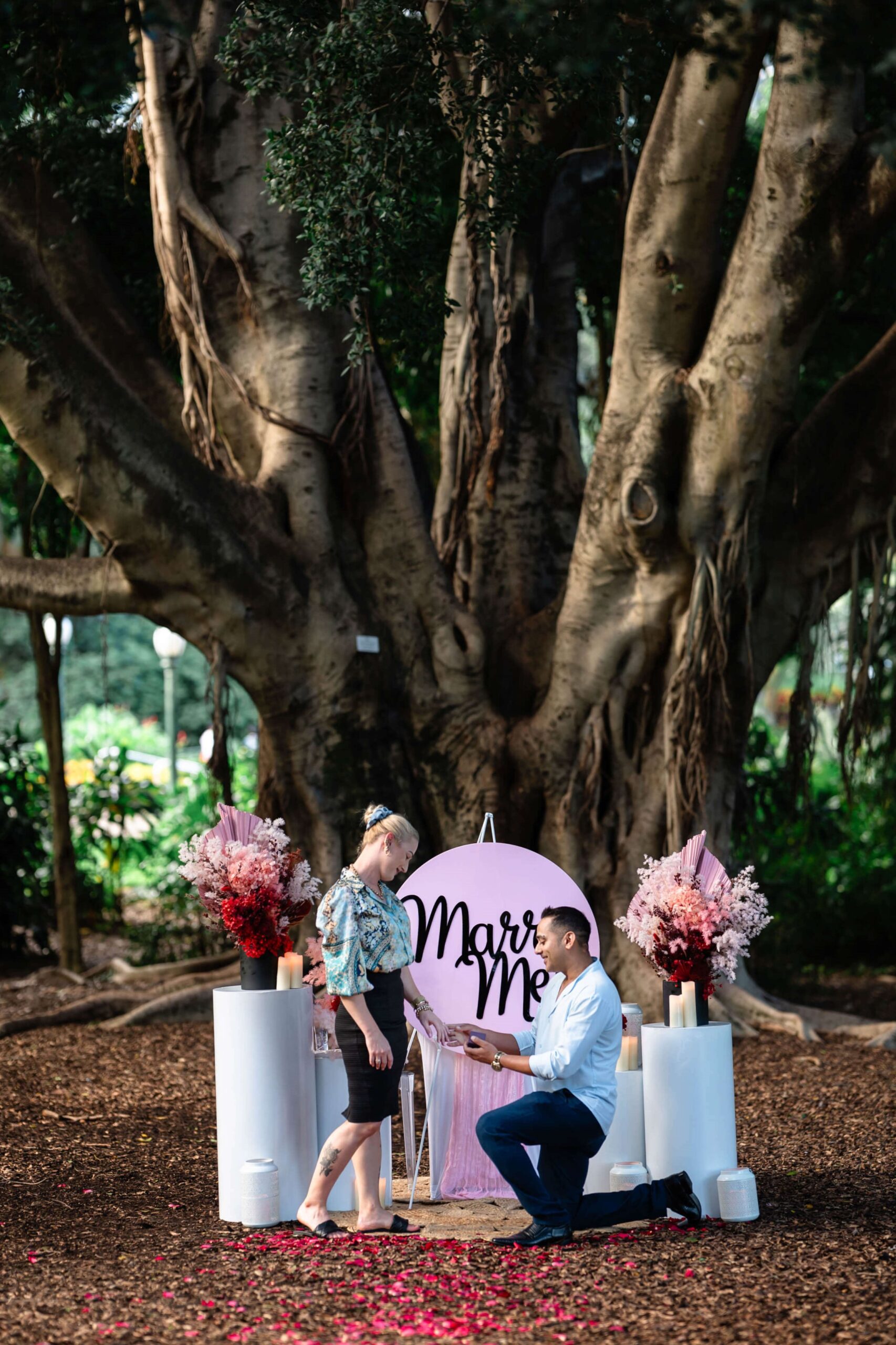 Proposal ideas Brisbane