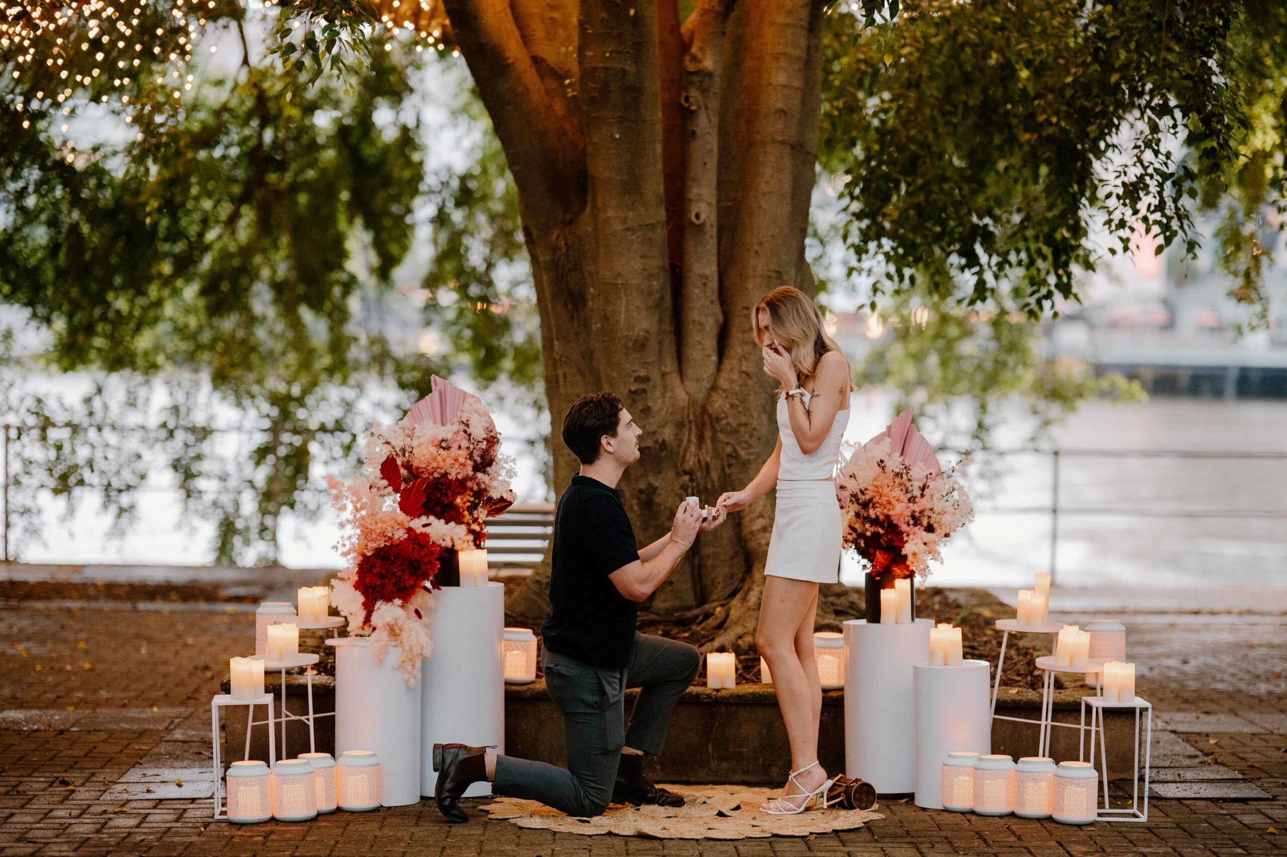 fairy light tree engagement Brisbane