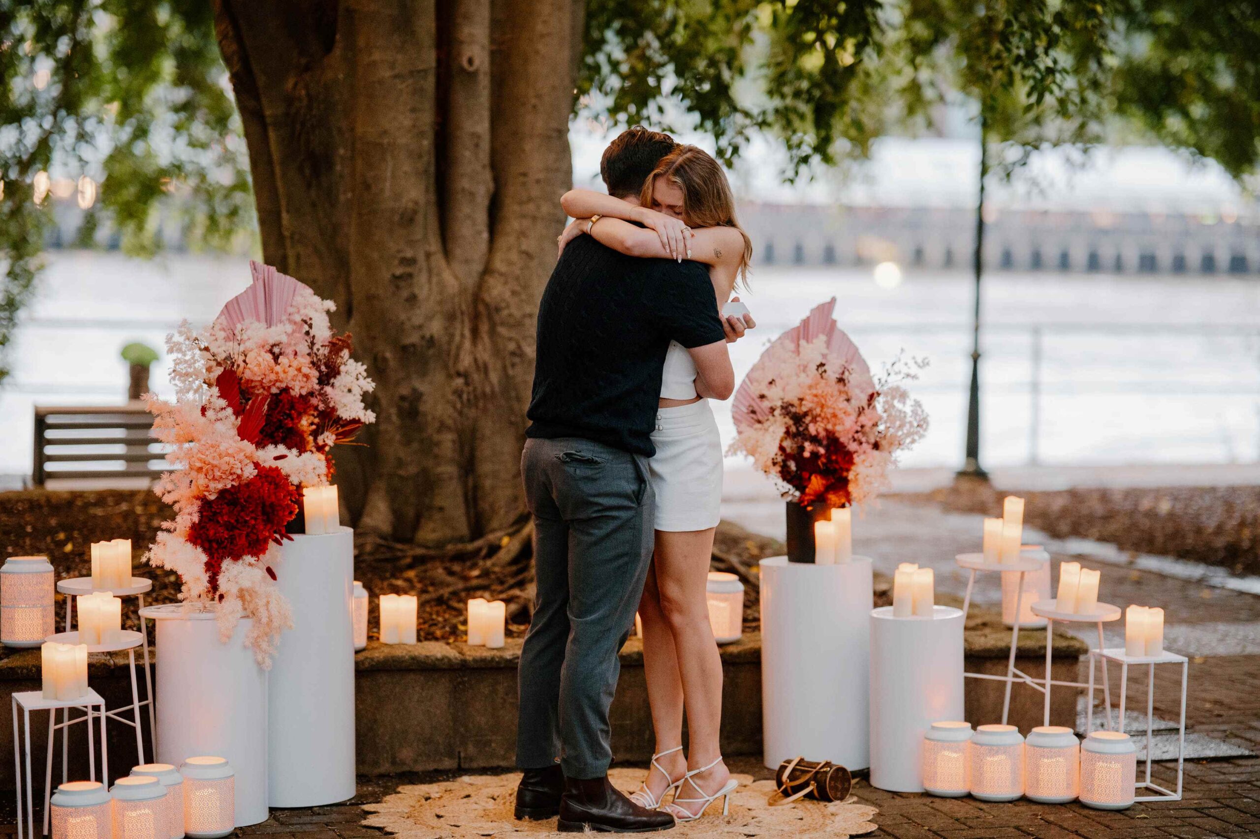Marriage proposal fairy light tree
