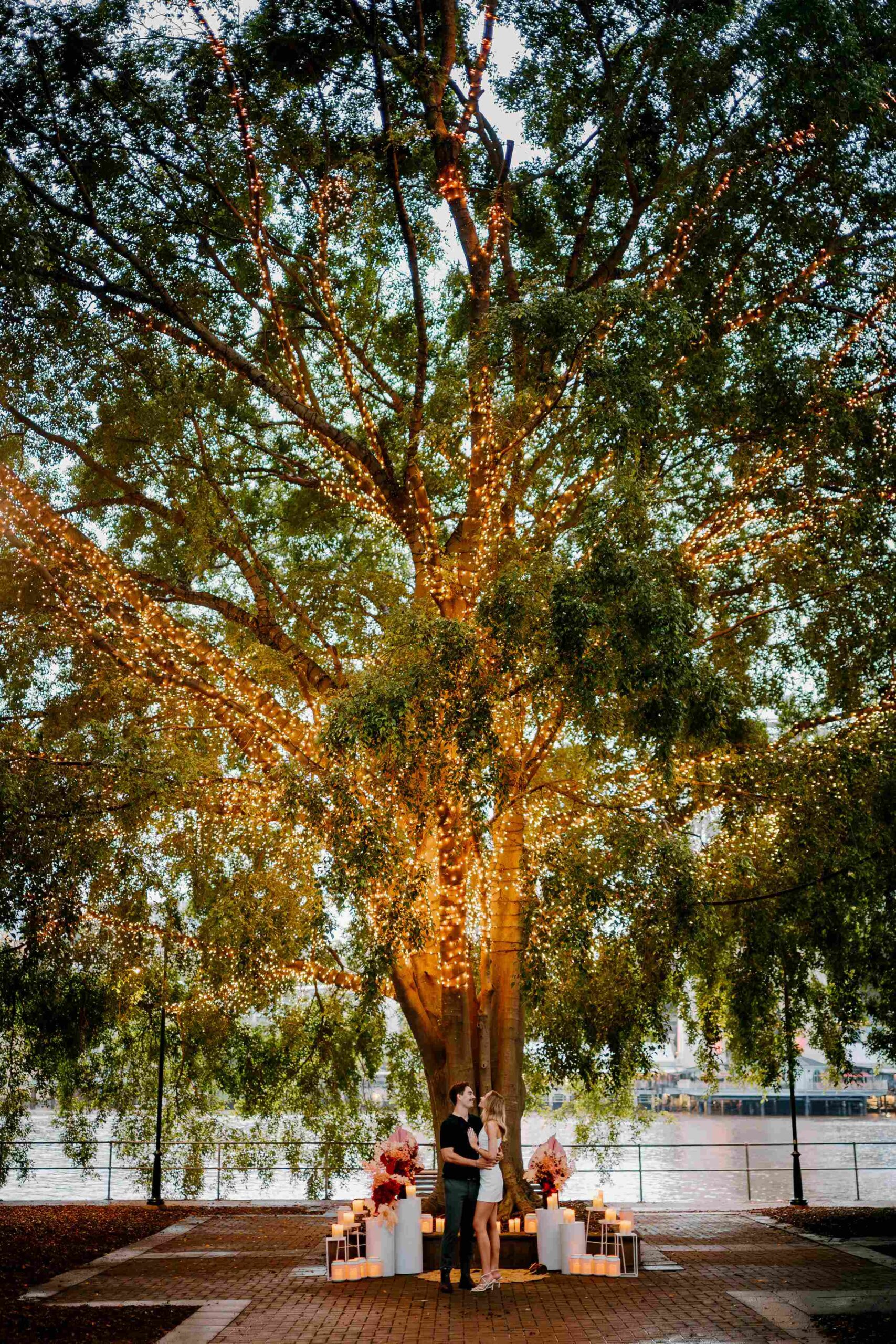 Marriage proposal setting Brisbane