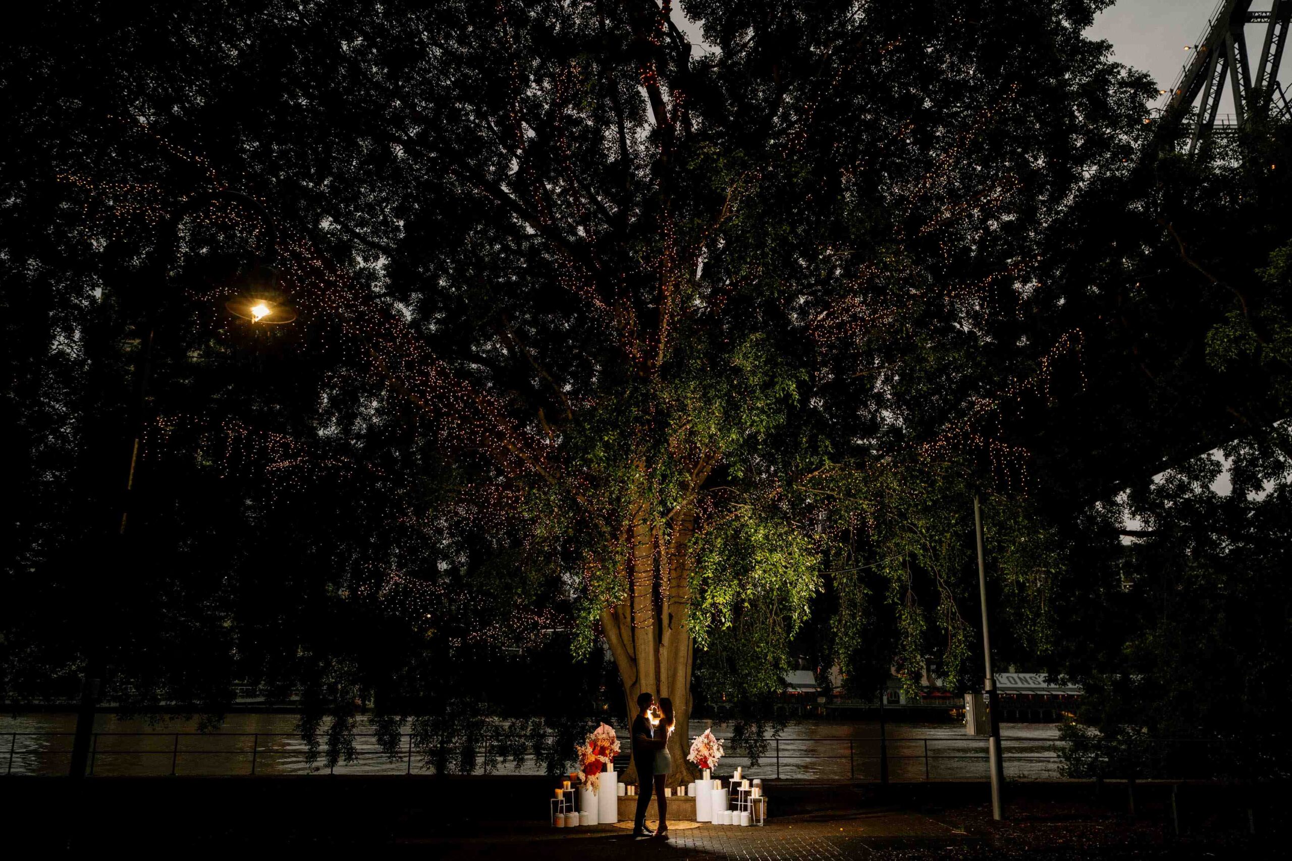 evening proposal in Brisbane