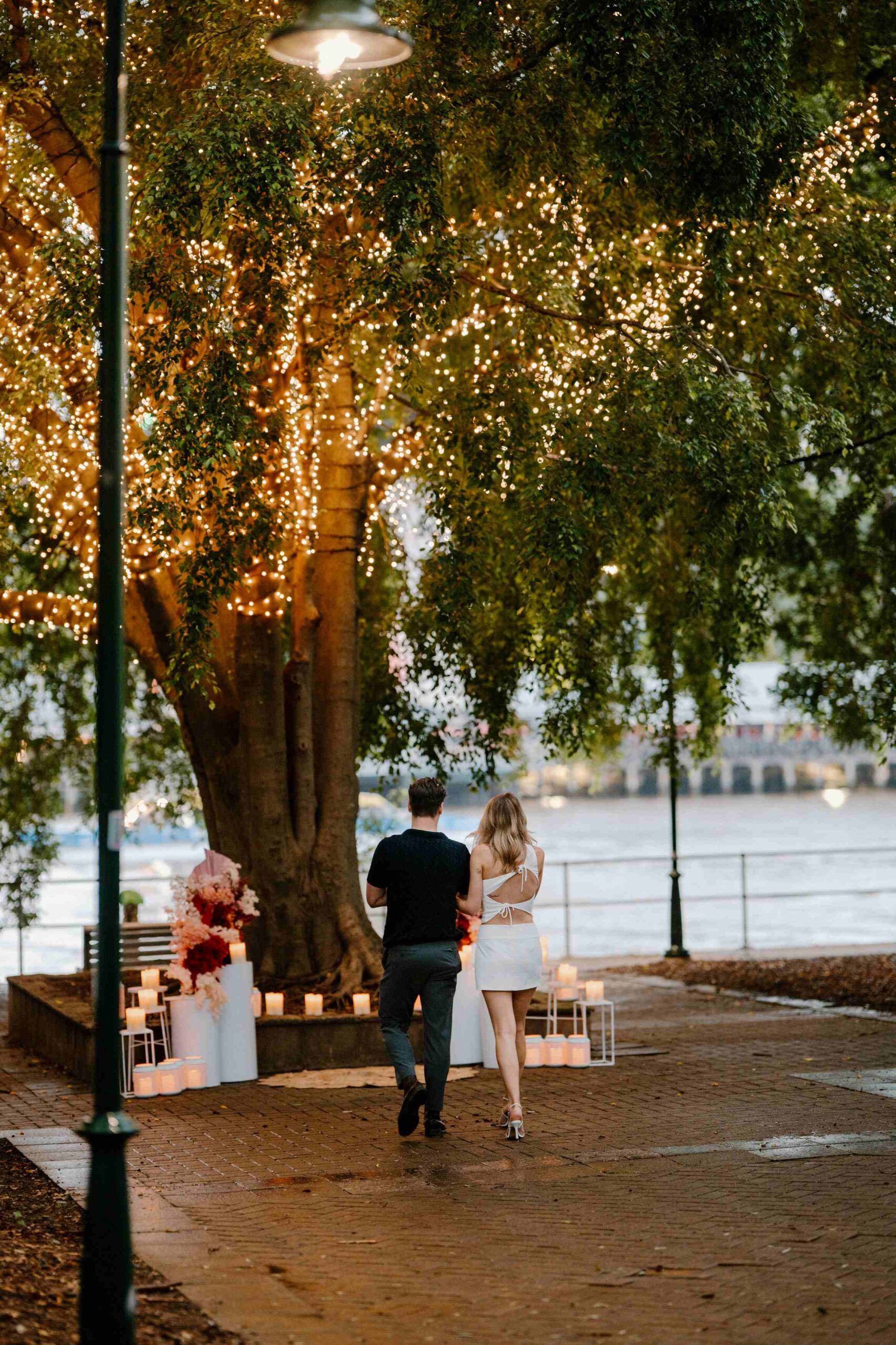 proposing at a fairy light tree