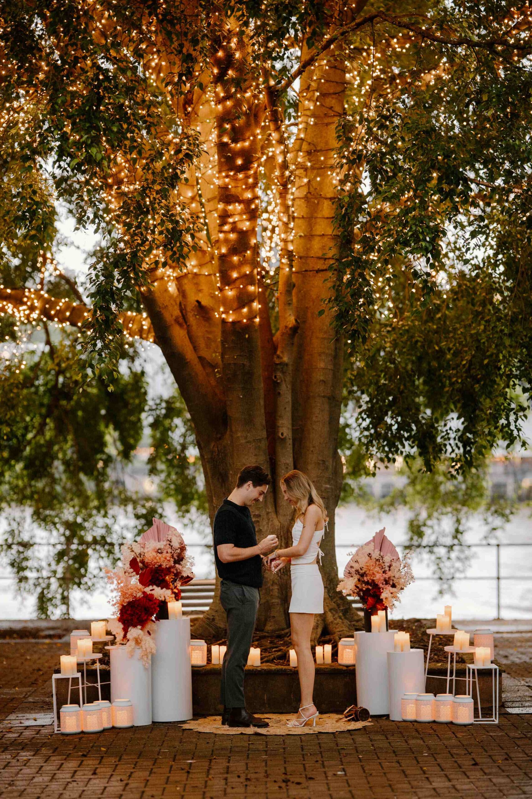 engaged at a fairy light tree Brisbane