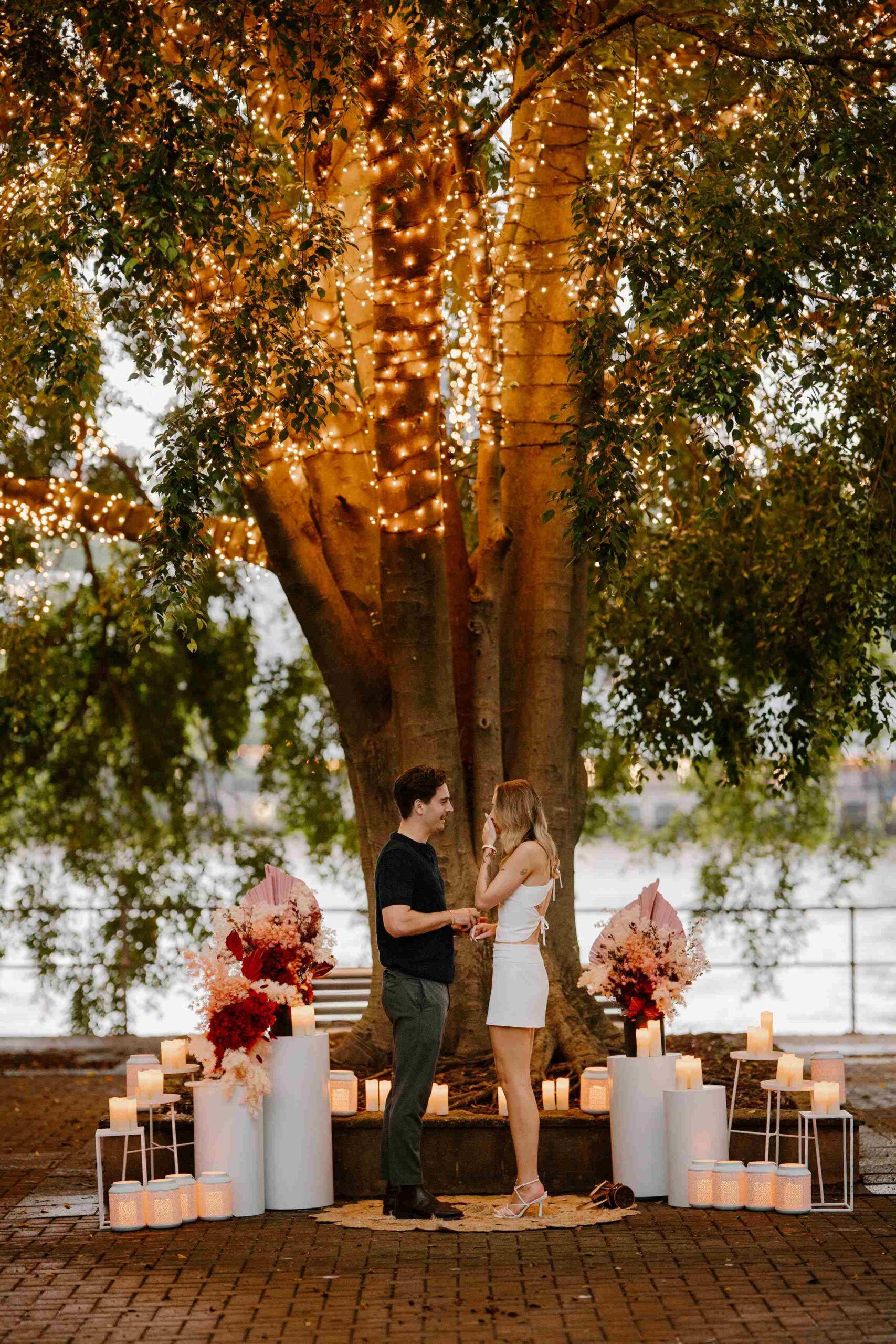 Fairy light tree proposal Brisbane