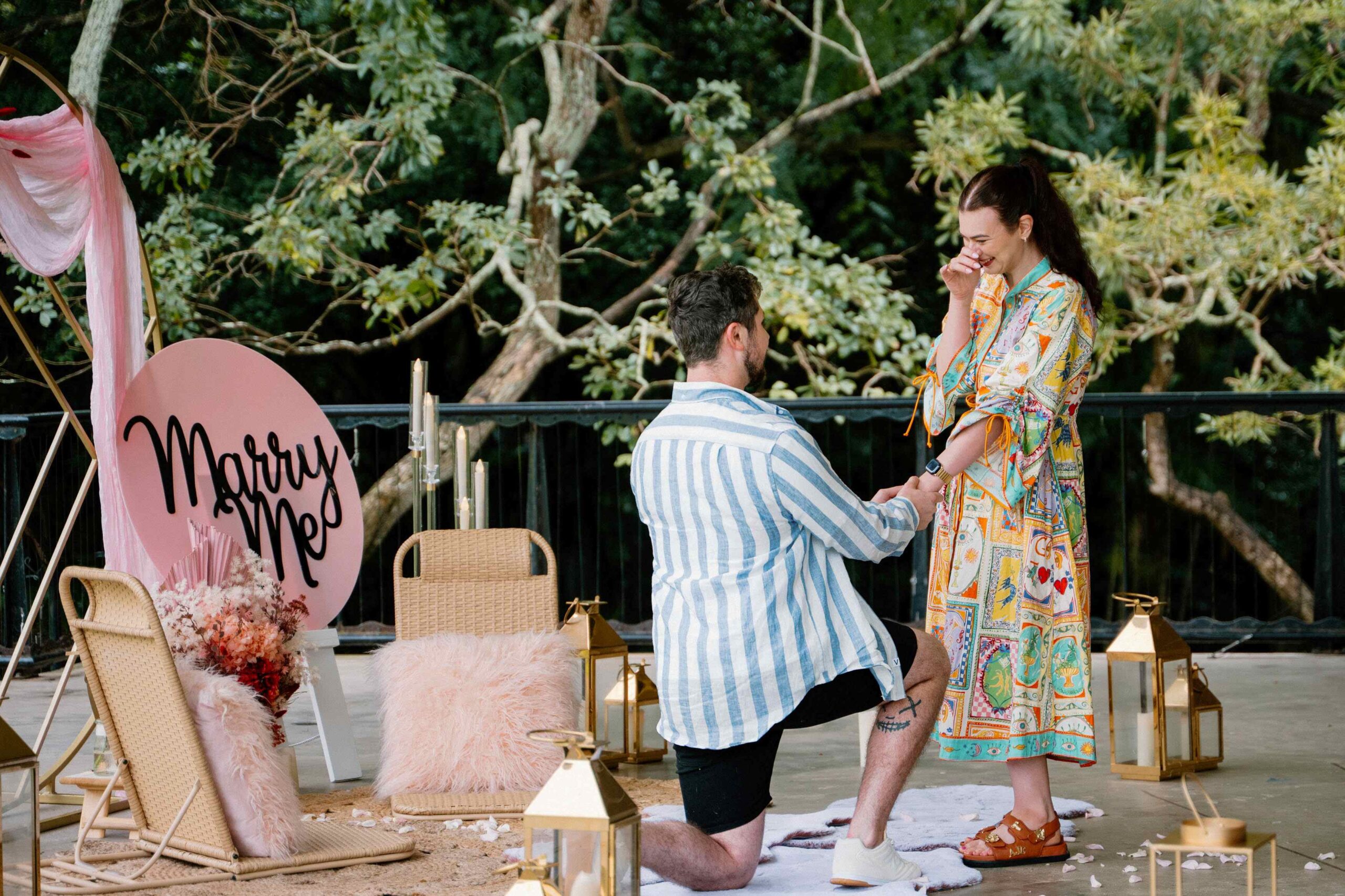 luxury styled proposal picnic