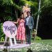 Proposal Planner recommendation