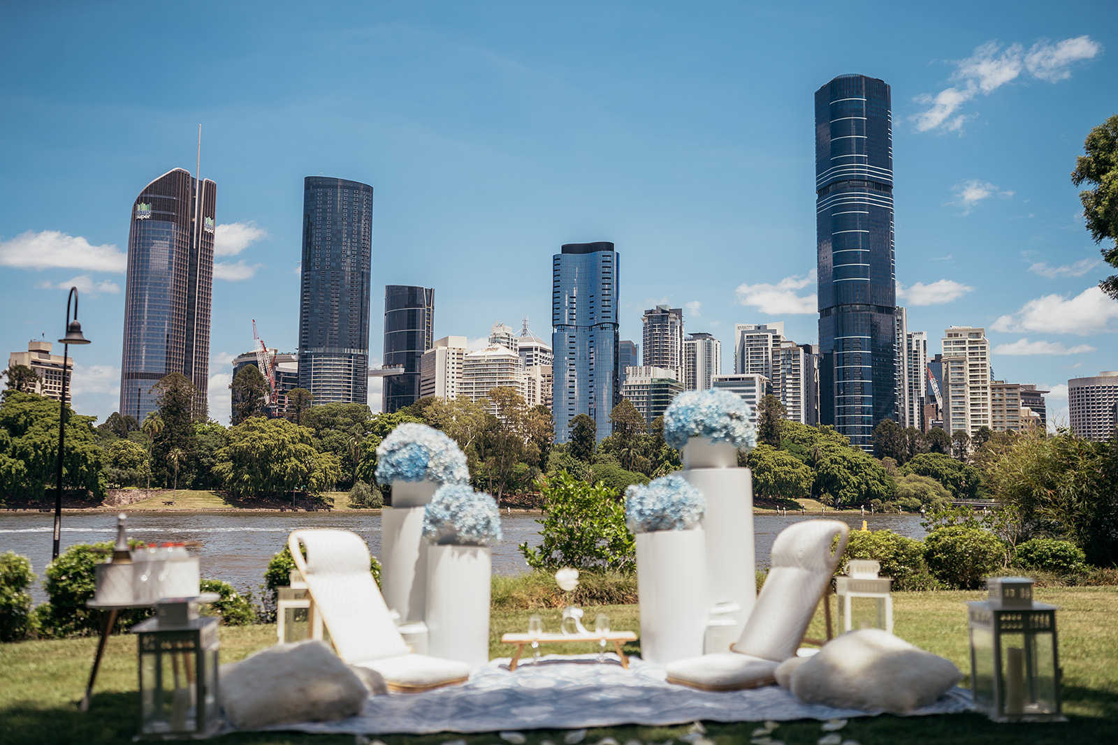 surprise puppy proposal picnic