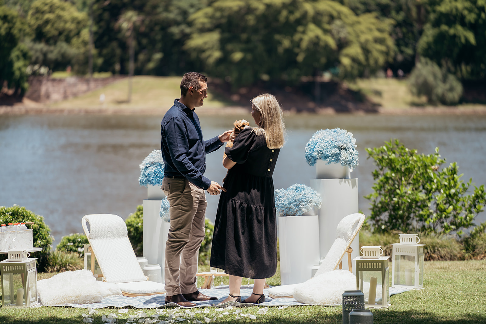 puppy proposal story