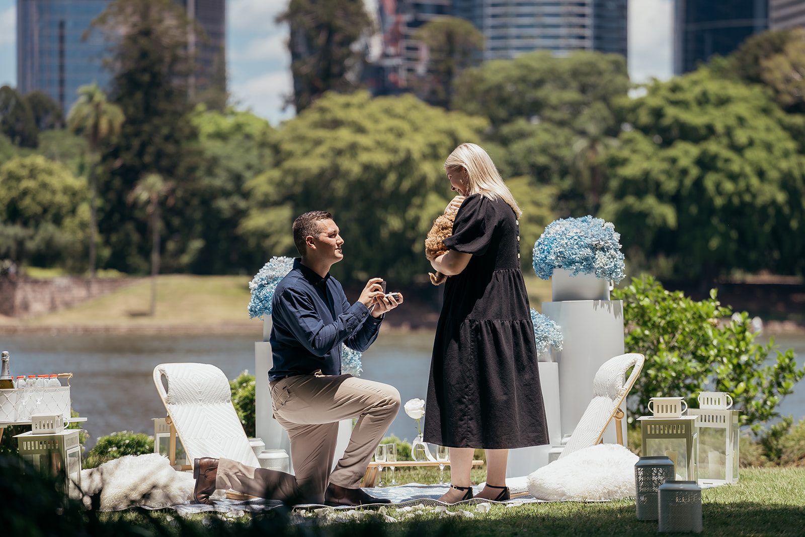 surprise proposal with a puppy