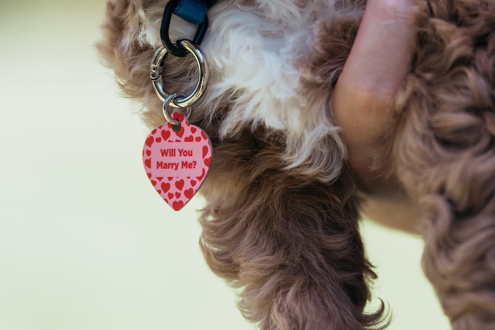 will you marry me dog tag
