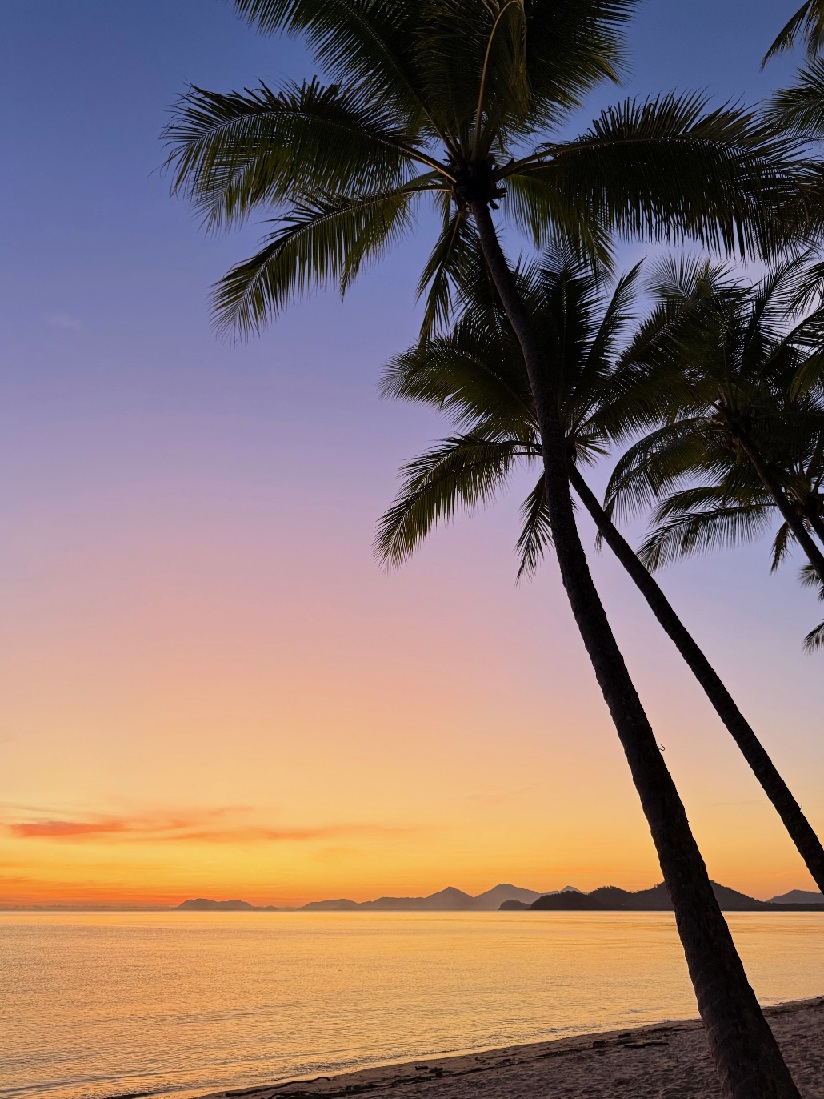 sunrise proposal Palm Cove QLD