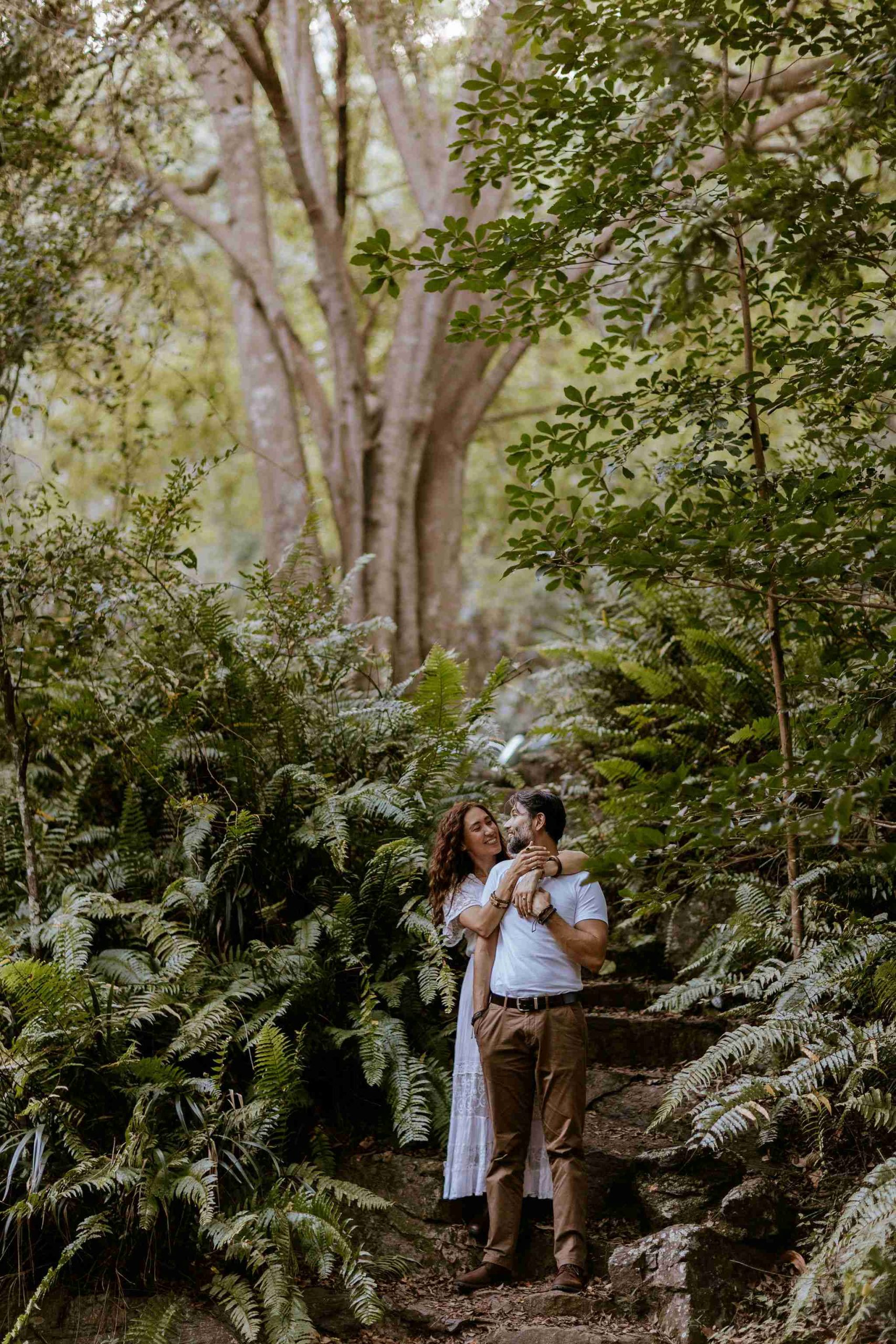 sophisticated rainforest proposal